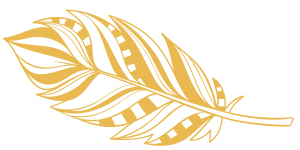 Federleicht erfolgreich Coachingprogramm Federleicht erfolgreich Coachingprogramm