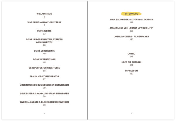 E-Book "Der Potenzialfinder"
